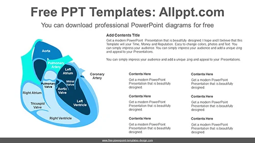 Human Heart PowerPoint Diagram