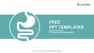 Human’s Stomach Graphic PowerPoint Templates