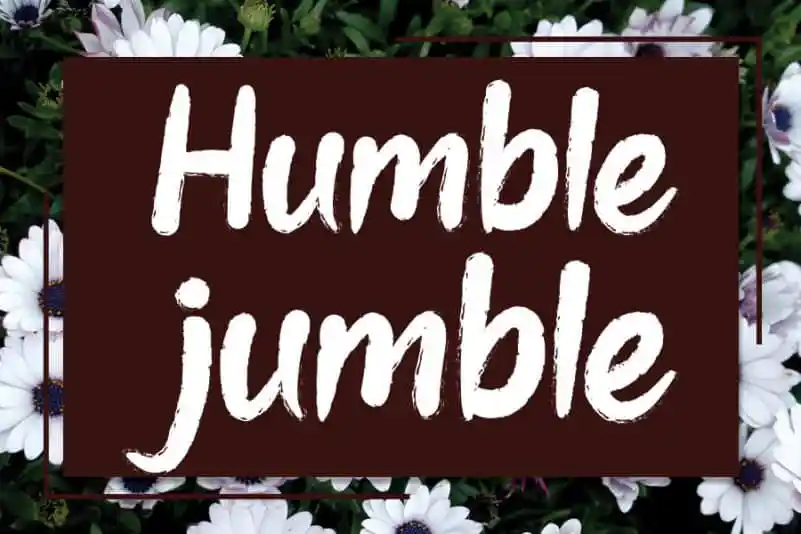Humble jumble Brush Font