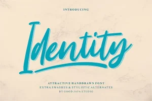 Identity Script Font