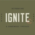 Ignite Sans Serif Font