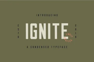 Ignite Sans Serif Font
