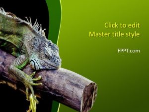 Iguana PowerPoint Template