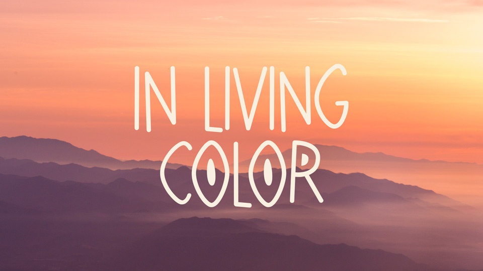 In Living Color Font › Fontesk