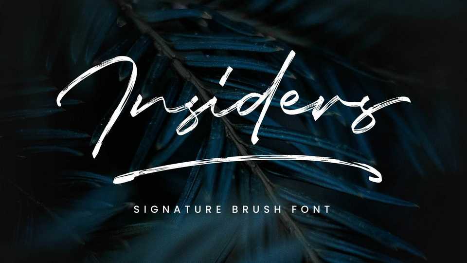 Insiders Signature Brush Font › Fontesk