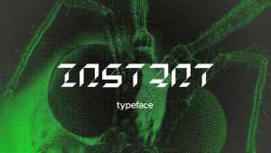 Instant Font › Fontesk