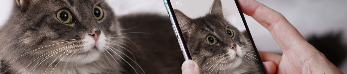 iPhone X Held by a Pair of Hands Mockup (PSD)