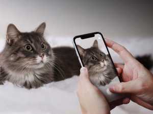 iPhone X Held by a Pair of Hands Mockup (PSD)