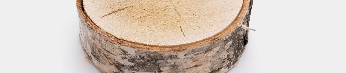 Isolated sliced wood