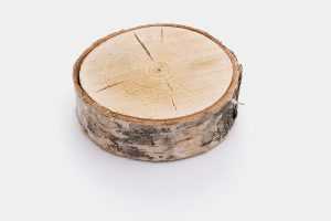 Isolated sliced wood