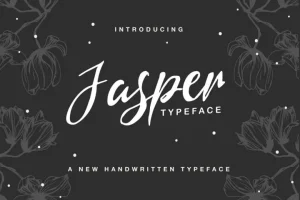 Jasper Brush Font