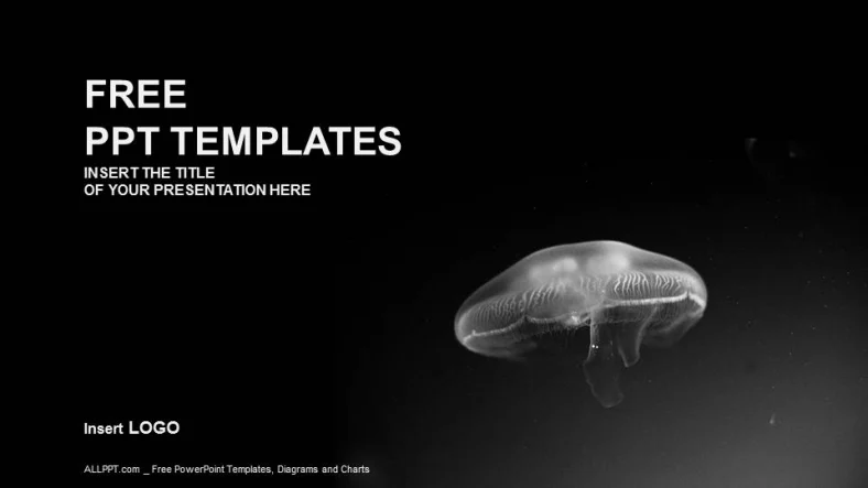 jellyfish-Nature PowerPoint Templates