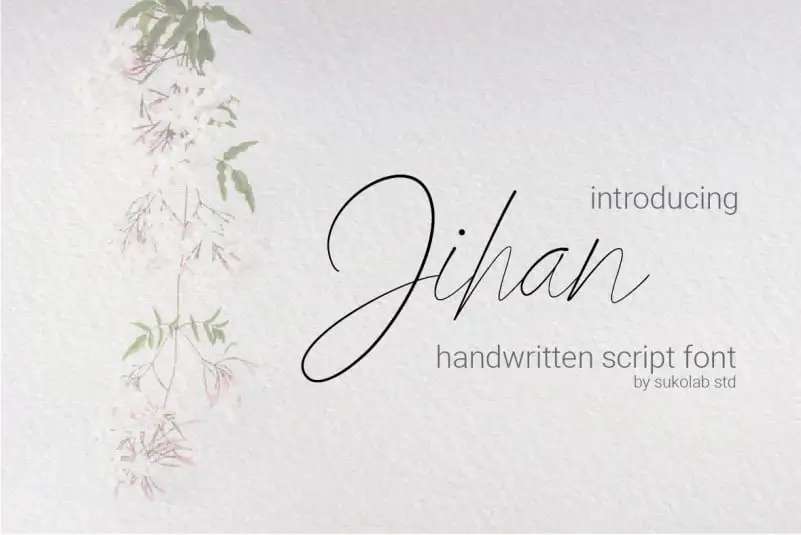 Jihan Script Font