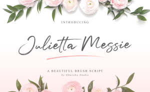 Julietta Messie Brush Script Font