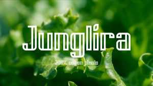 Junglira Font › Fontesk