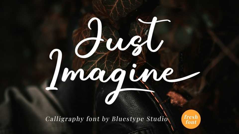 Just Imagine Font › Fontesk