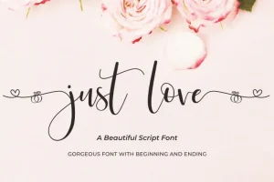 Just Love Script Font