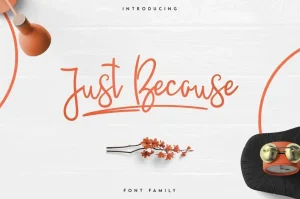 Justbecause Script Font