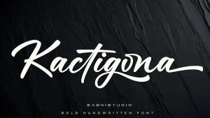Kactigona Font › Fontesk