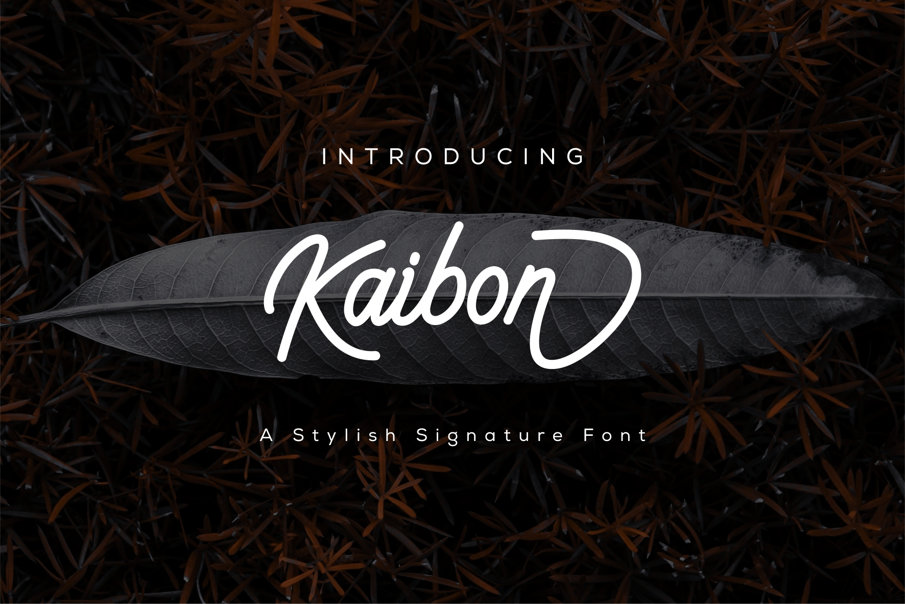 Kaibon Signature Font