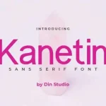 Kanetin Sans Serif Font
