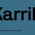 Karrik Font Family › Fontesk - Fonte Grátis Karrik Font Family › Fontesk