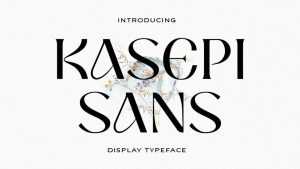 Kasepi Sans Font › Fontesk