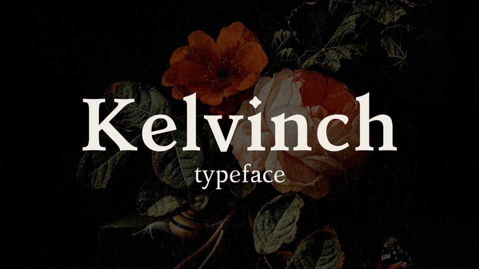Kelvinch Font Family › Fontesk
