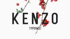 Kenzo Font › Fontesk