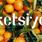 Ketsiyo Sans Font
