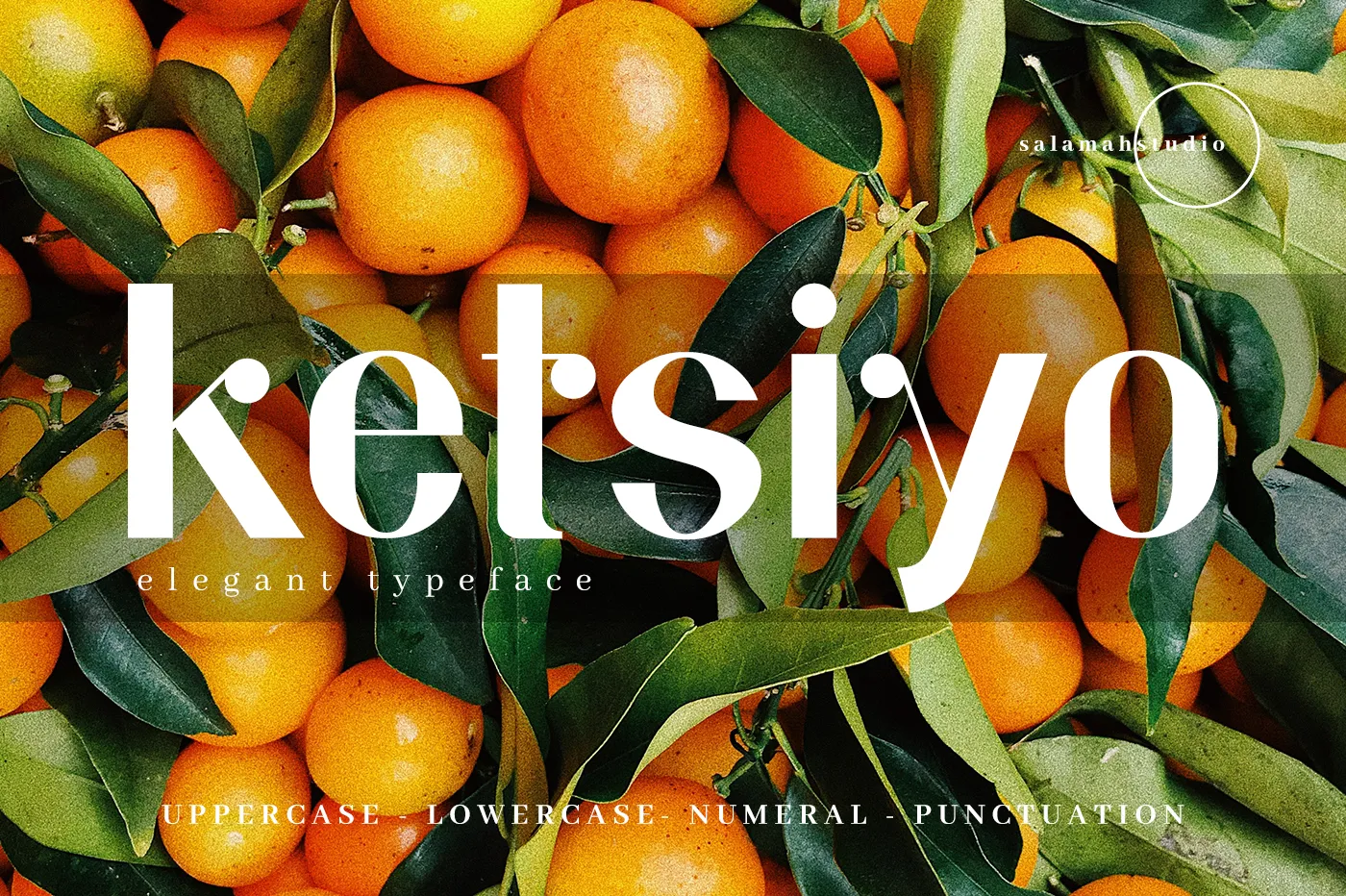 Ketsiyo Sans Font