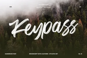 Keypass Brush Font