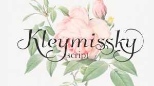 Kleymissky Font › Fontesk