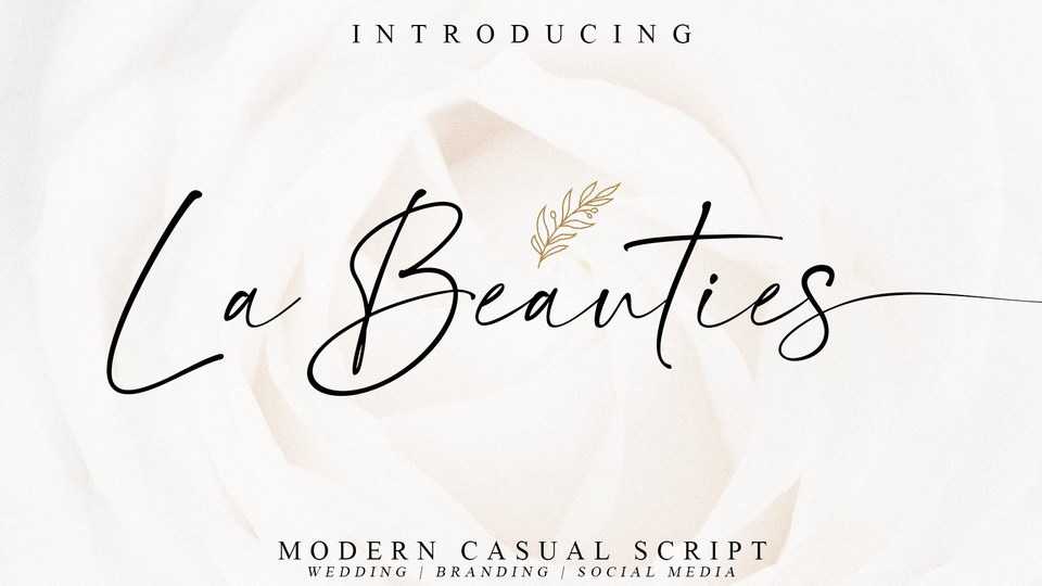 La Beauties Script Font › Fontesk
