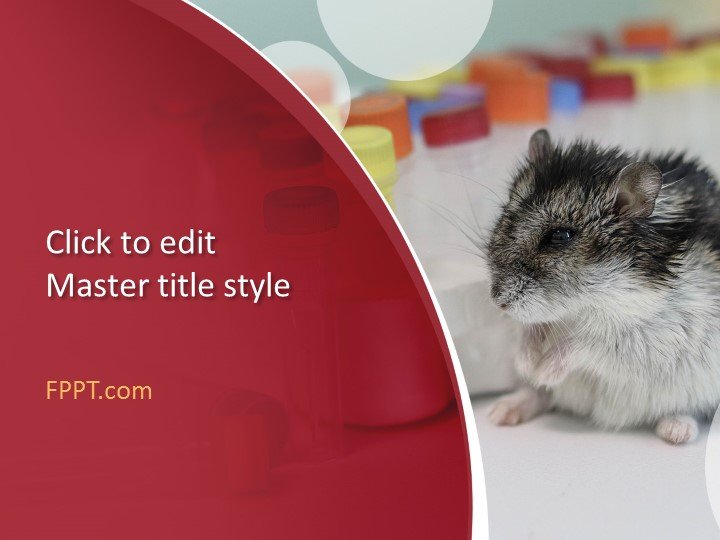 Lab Rat PowerPoint Template