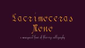 Lacrimoceras Mono Font › Fontesk