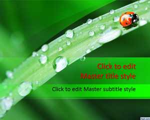 Ladybug PowerPoint Template