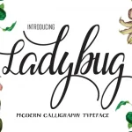Ladybug Script Font