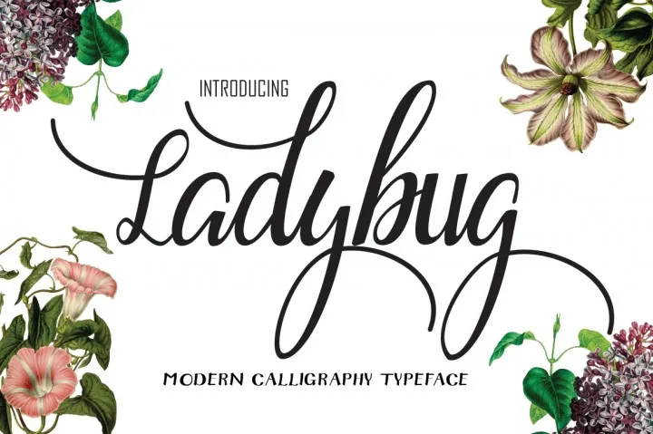 Ladybug Script Font