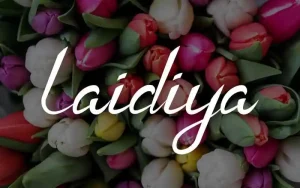 Laidiya Handwritten Font