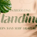Landing Sans Serif Font