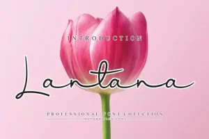 Lantana Script Font
