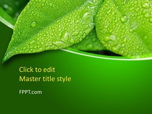 Leaf PowerPoint Template
