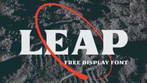 Leap Font › Fontesk