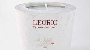 Leorio Font › Fontesk