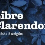 Libre Clarendon - Slab Serif Font