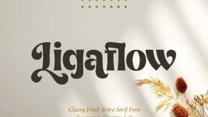 Ligaflow Font › Fontesk