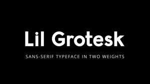 Lil Grotesk Font Family › Fontesk