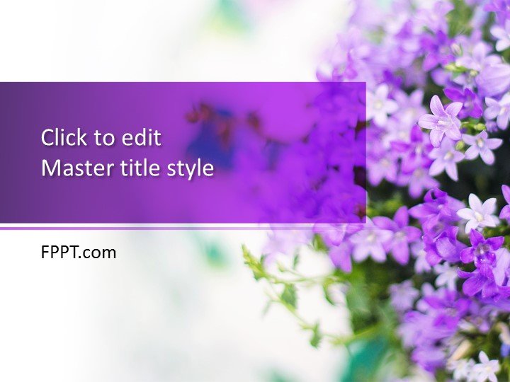 Lilac PowerPoint Template
