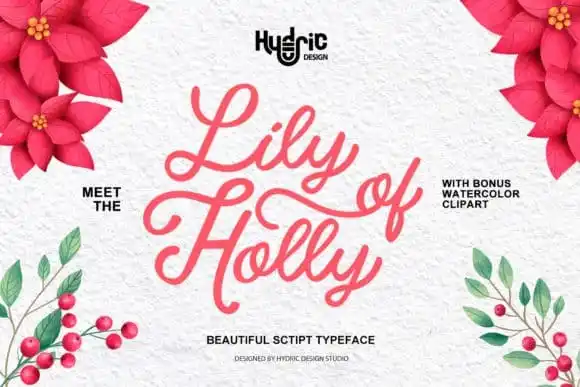 Lily Of Holly Calligraphy Font
